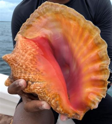  Queen Conch:  Découvrir les secrets de ce coquillage aux tentacules étonnants !