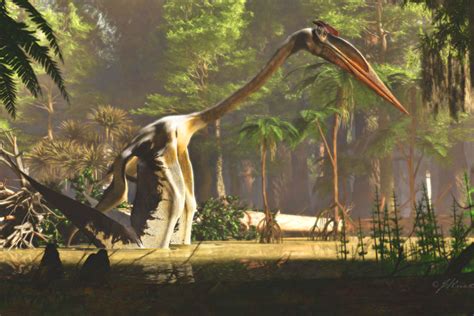  Quel Quetzalcoatlus: Un Géant Volant Préhistorique Qui Détroussait les Ptérodactyles de Leurs Encas !